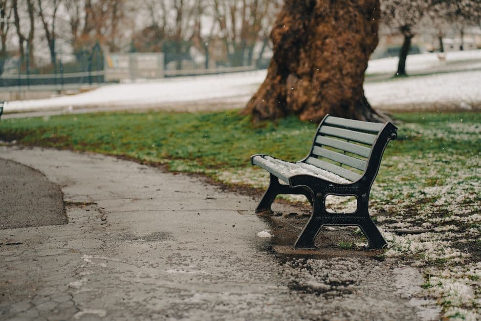 An empty park bench in a snowy winter park setting, capturing a serene outdoor scene.